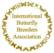 International Butterfly Breeders Association